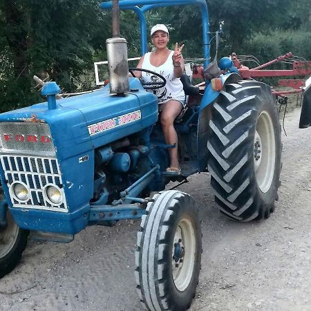 דירות Rieutort Chez Romu מראה חיצוני תמונה